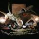 LOST LOVE SPELL CASTER IN Staffordshire,Derbyshire CALL/WHATSAPP +27710158438 NOW