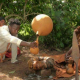 Powerful Fortune Teller, African Traditional Healer For all sorts of spell Call / WhatsApp: +2772217