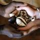 Powerful Traditional Spells Caster In South Africa Call +27722171549 In South Africa, USA, Canada ,I